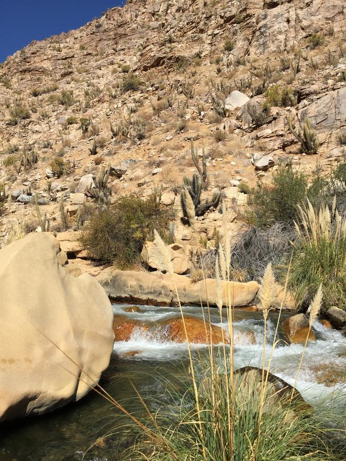Cabanas El Albaricoque Cochiguaz El Sanjeado Esterno foto